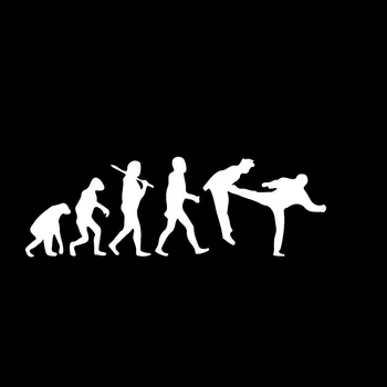16.5*5.5 CM Interesant Evoluția Umană Taekwondo Autocolante Auto Care Acoperă Corpul Reflectorizante Decalcomanii de Vinil Negru/Argintiu C7-0583