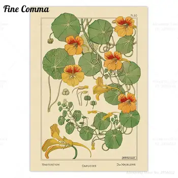 Capucine Nasturtium Floare De Epocă Poster De Imprimare Panza De Artă Francez De Epocă Florale Panza De Arta Pictura De Perete Decor Art Nouveau